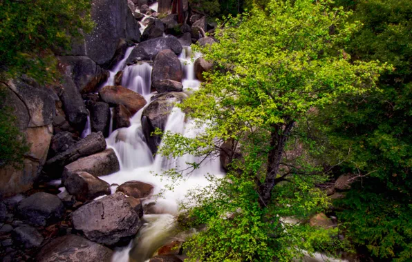 Камни, дерево, водопад, поток, ущелье