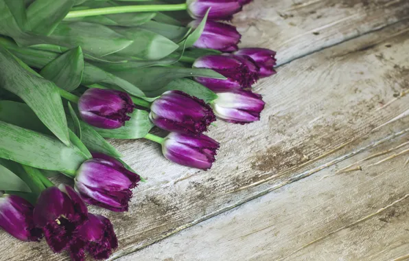 Цветы, букет, фиолетовые, тюльпаны, wood, flowers, tulips, purple