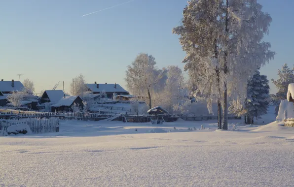 Картинка зима, снег, деревья, мороз