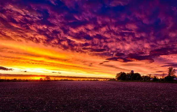 Поле, пейзаж, закат