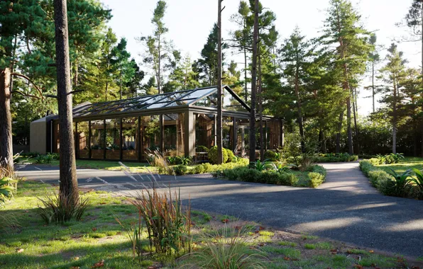 Лес, дорожки, SPAIN, BITE - CONSERVATORY RESTAURANT, AVILA