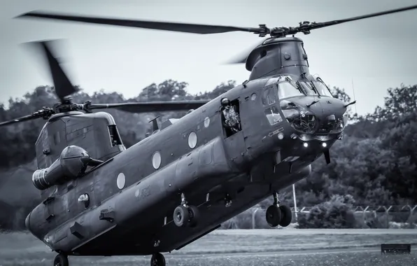 Вертолёт, транспортный, военно, Chinook, CH-47