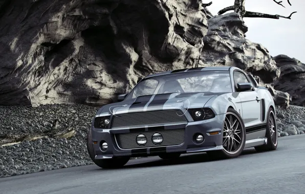 Shelby, GT500, мустанг, мускул кар, форд, Ford Mustang GT500