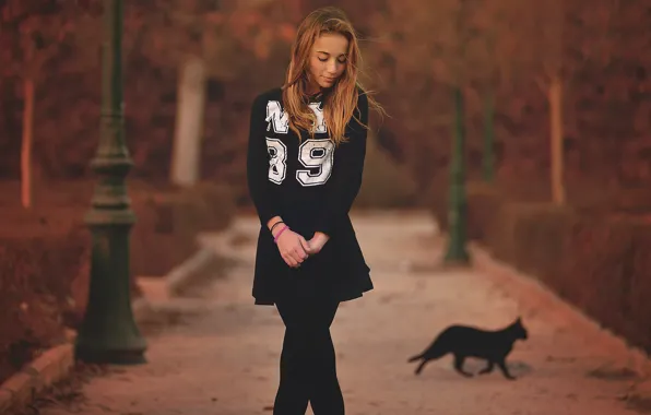 Осень, девушка, фигура, аллея, в чёрном, чёрная кошка