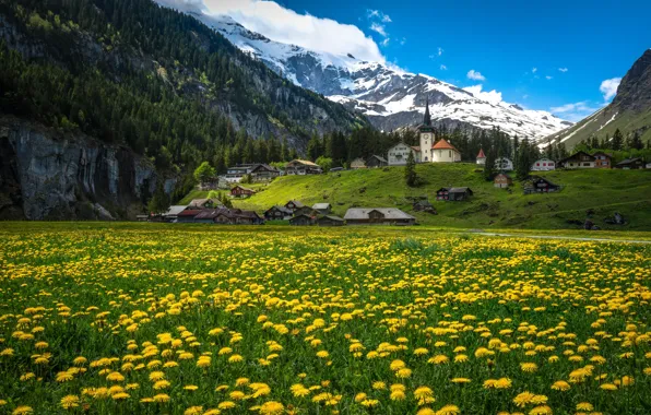 Цветы, горы, дома, Швейцария, деревня, Альпы, луг, одуванчики