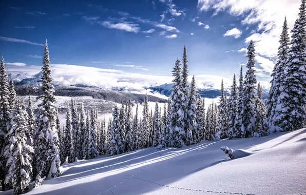 Картинка зима, снег, красота, Canada