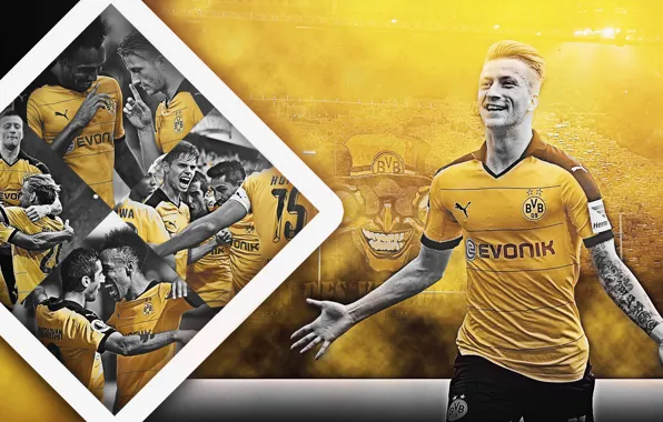 Wallpaper, sport, stadium, football, player, Borussia Dortmund, Marco Reus