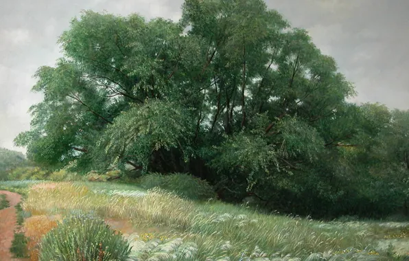 Картинка трава, деревья, тропинка, Айбек Бегалин, 2009г, Спасск