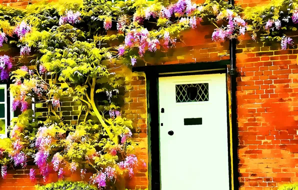 Картинка Цветы, Рисунок, Дверь, Арт, Art, Flowers, Door