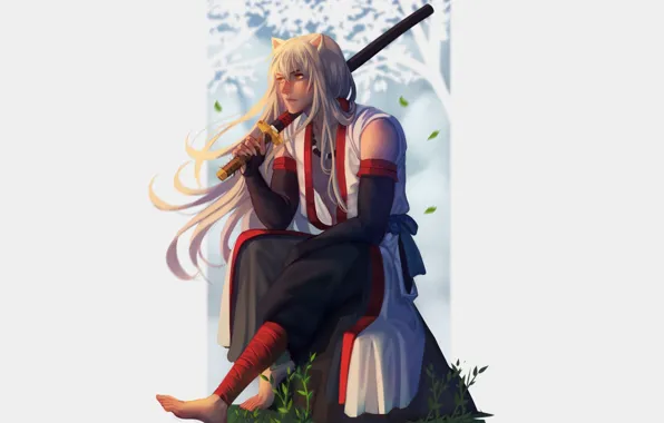 Меч, парень, Inuyasha, Инуяша