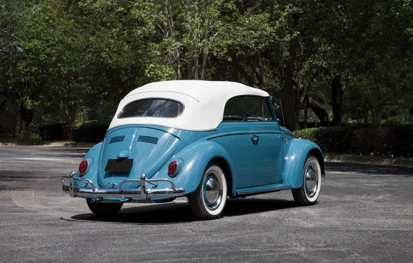 Volkswagen, Beetle, ретро автомобили, Cabriolet, 1963, retro cars, Volkswagen Beetle Cabriolet