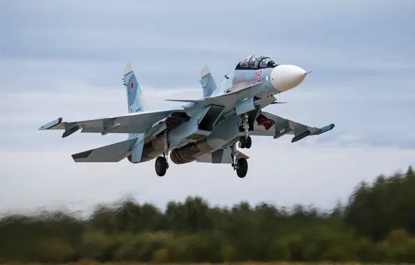 Картинка fighter, aviation, Su-30, multi-purpose