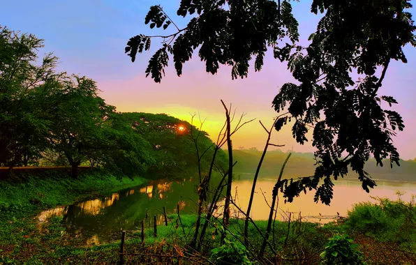 Sun, Water, Sunrise, Dawn, Morning, Lake, Trees, Reflection