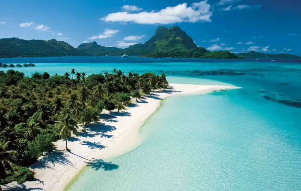 Картинка пляж, пальмы, экзотика, Таити