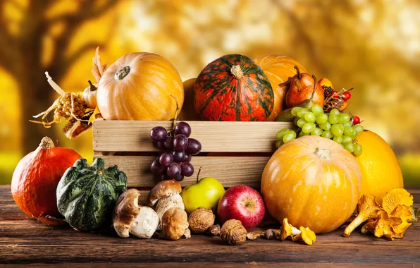 Осень, урожай, тыква, натюрморт, овощи, autumn, still life, pumpkin