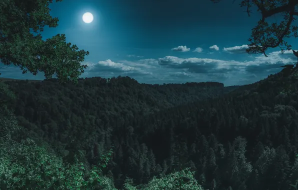 Moon, Nature, Clouds, Sky, Night, Wallpaper, Trees