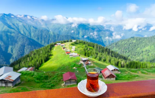 Tea, turkey, Rize, Pokut Pleteau