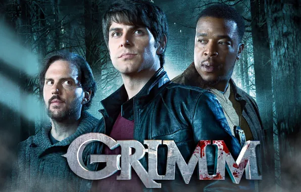 Blood, forest, trees, detective, series, mist, hunter, Monroe