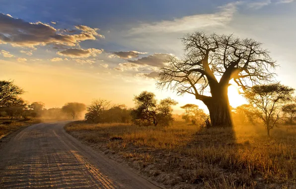 Дорога, пейзаж, утро, Африка