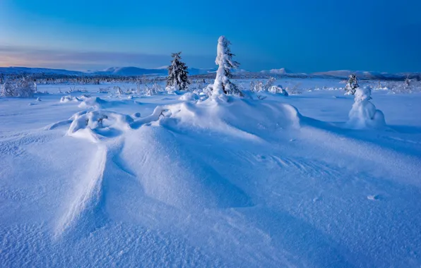 Зима, снег, деревья, сугробы, Швеция, Sweden, Lapland, Лапландия