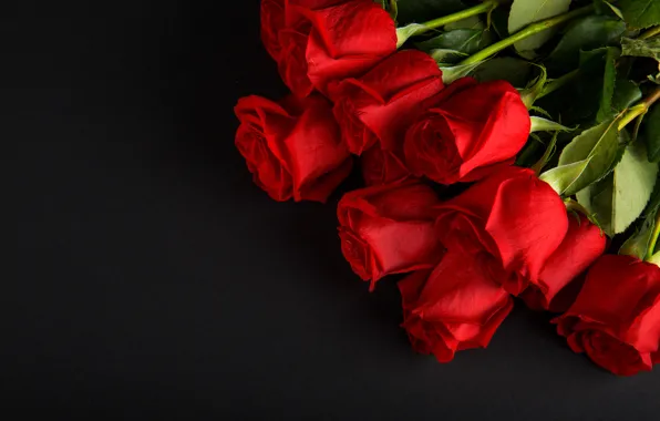 Цветы, розы, букет, красные, red, бутоны, flowers, romantic