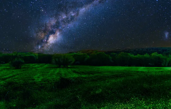 Картинка поле, лес, звезды, деревья, ночь, млечный путь