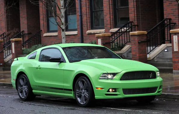 Дождь, улица, салатовый, Ford Mustang GT, салатный