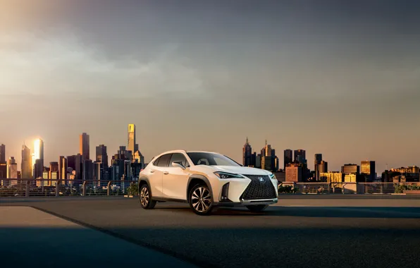 Город, лексус, SUV, LEXUS, 2019, LEXUS UX