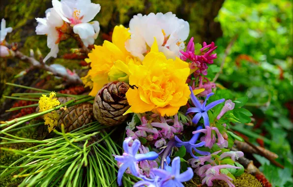 Картинка Цветочки, Шишки, Flowers