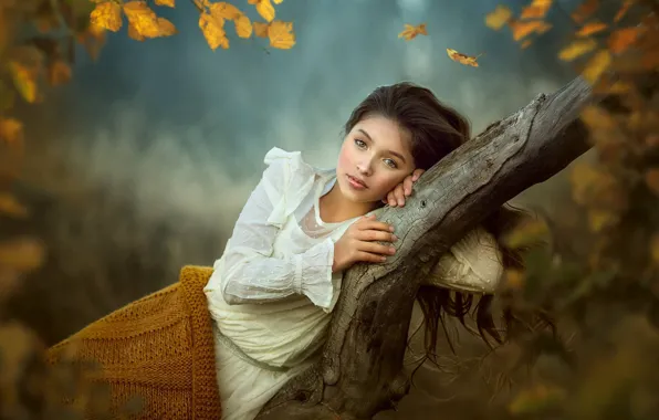 Картинка осень, взгляд, ветки, поза, дерево, настроение, девочка