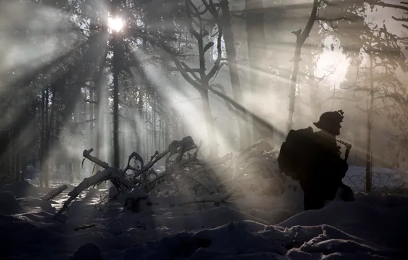 Картинка зима, лес, солдат