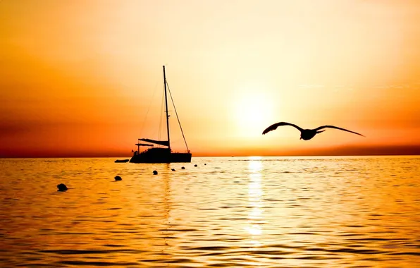 Картинка море, закат, чайка, яхта