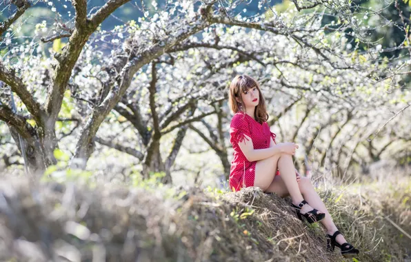 Картинка девушка, весна, сад