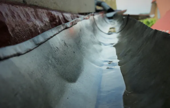 Вода, дождь, rain, water, macro, walpappers