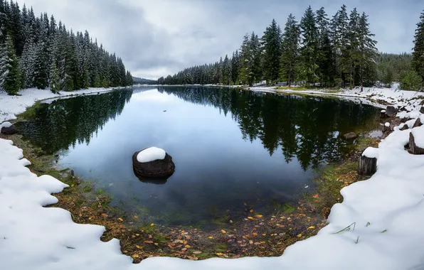 Картинка зима, лес, снег, озеро, спокойствие, ели