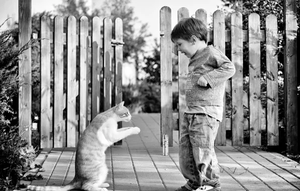 Кот, забор, ребенок, мальчик, чёрно - белое фото