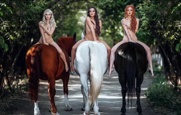 Животные, деревья, природа, девушки, кони, брюнетка, блондинка, дорожка