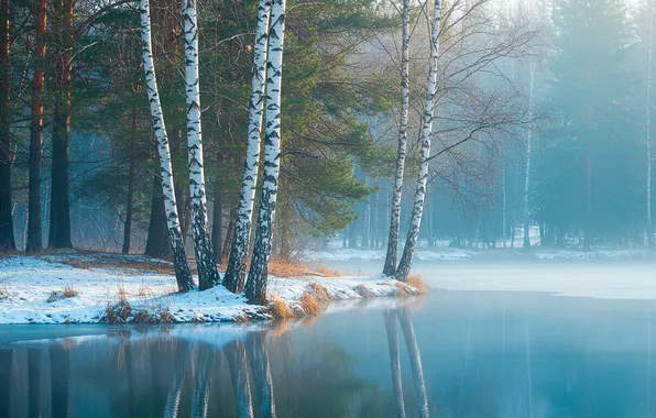 Картинка лес, вода, туман, весна, wallpaper, forest, water, fog
