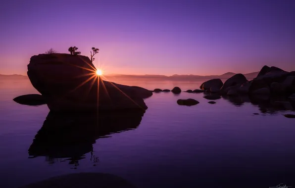 Пейзаж, озеро, рассвет, lake Tahoe, Bonsai Rock