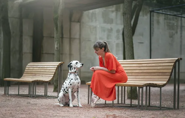 Картинка девушка, собака, скамья