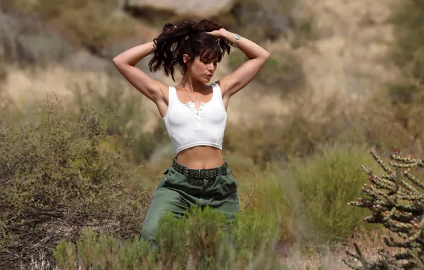 Hot girl, desert, studio, brown hair, nature, model, outside, sexy woman