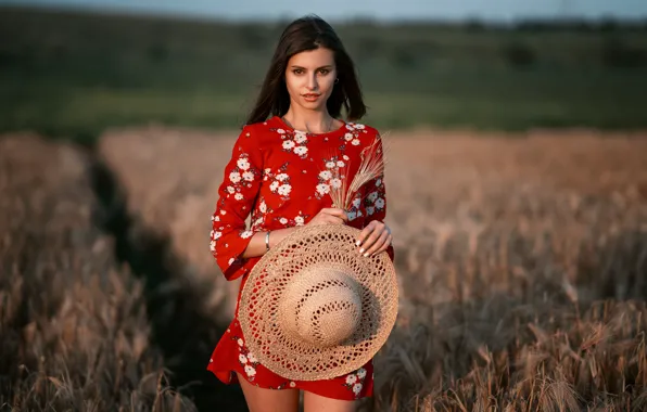 Картинка поле, девушка, шляпа, платье, Евгений Вигурский