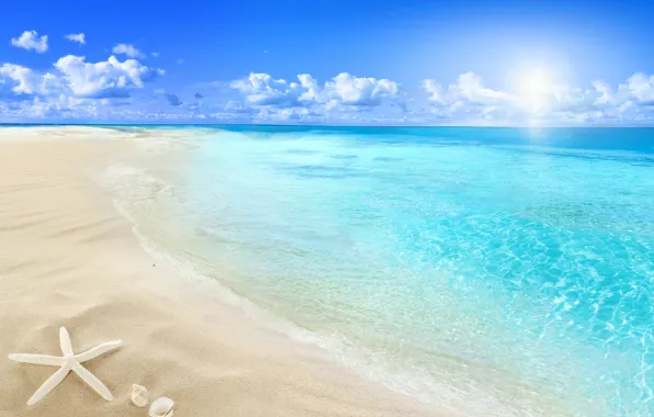 Картинка beach, sea, sun, sand, seashell, starfish