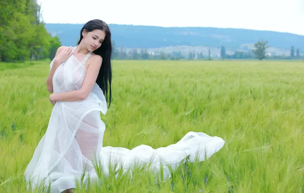 Девушка, Поле, Лето, Брюнетка, Красавица, Leona E