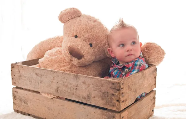 Картинка игрушка, мальчик, ящик, ребёнок, плюшевый медведь, хаер