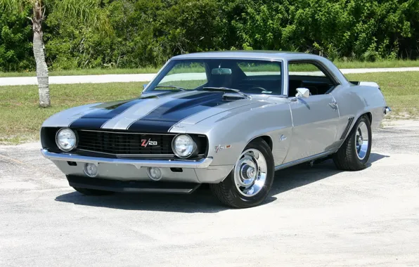 Картинка Chevrolet, 1969, camaro, muscle, classic, z28