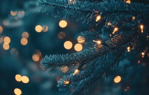 Зима, свет, ветки, огни, блики, темный фон, праздник, текстура
