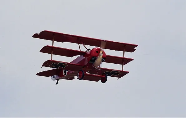 Небо, ретро, полёт, самолёт, триплан, Fokker Dr.I