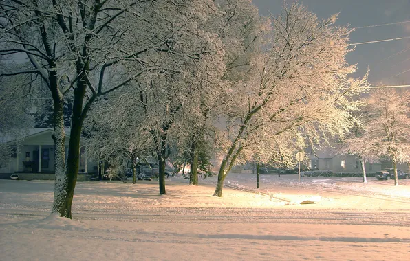 Картинка зима, пейзаж, улица