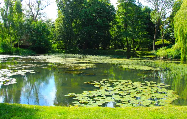 Water, lake, pond